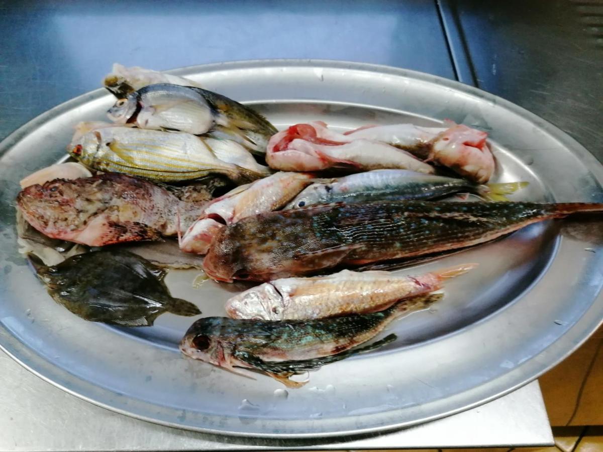 Hotel Posidonia Sapri Eksteriør billede